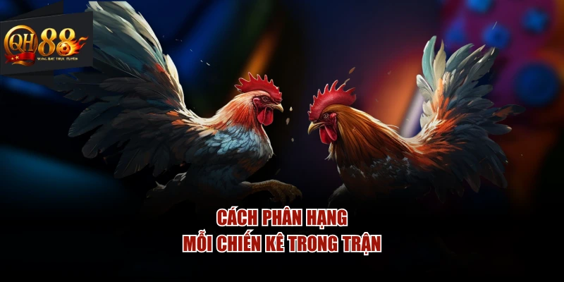 Cách phân hạng mỗi chiến kê trong trận
