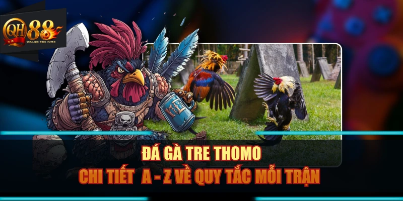 Đá Gà Tre Thomo - Chi Tiết  A - Z Về Quy Tắc Mỗi Trận 